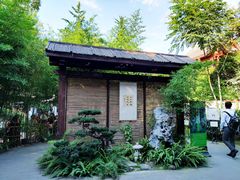 餐厅外小院-香园自助小火锅