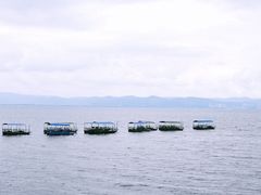 -抚仙湖禄充风景区