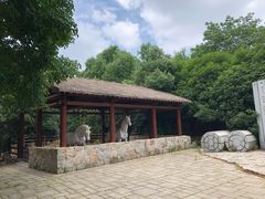 -白马涧龙池景区