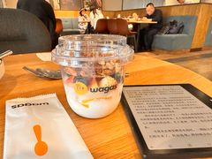 -Wagas沃歌斯(枫蓝国际店)