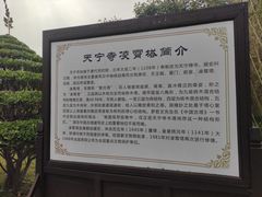-天宁寺