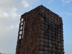 -良渚古城遗址公园