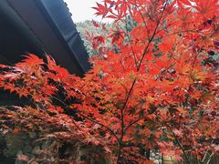 -少华山国家森林公园