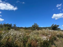 -北京鹫峰国家森林公园