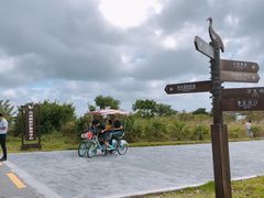 -盐城丹顶鹤湿地生态旅游区