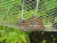 -泉州海丝野生动物世界