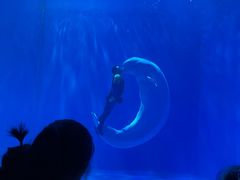 -多彩贵州城极地海洋世界