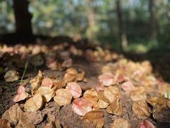 -南京市江宁方山
