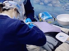 -上海崇美口腔门诊