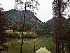 -星湖旅游景区七星岩