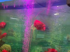 -雅悦齿科(顾村公园店)