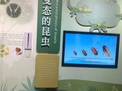 -国家自然博物馆