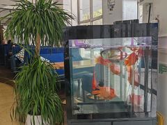 -花舍·新派粤菜·西餐·下午茶(亚运村·鸟巢店)