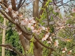 -永定河休闲森林公园