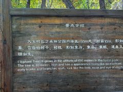 -三块石国家森林公园