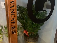 -梵猫·新养生(湛江鼎盛店)