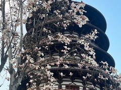 -隋唐洛阳城明堂天堂景区