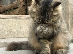 -老屋咖啡