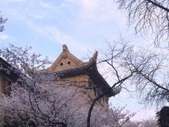 -武汉大学-樱园