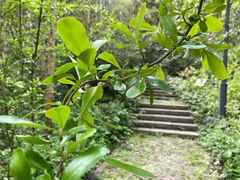 -西湖风景区-江洋畈生态公园
