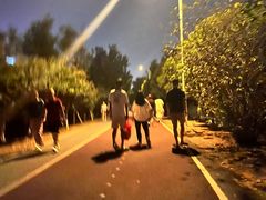 -艾溪湖湿地公园