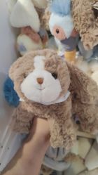 -Hamleys哈姆雷斯(东方福来德店)