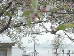 -蠡湖大桥公园