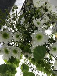 -HEYAN荷妍专业脱毛连锁机构