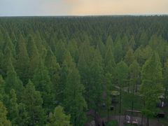 -黄海国家森林公园