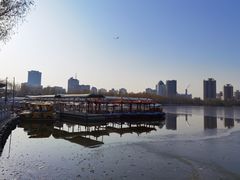 -莲花池公园