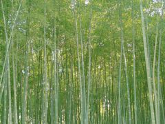 -会稽山峡洞漂流-上青古道