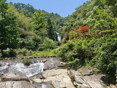 -天台山景区