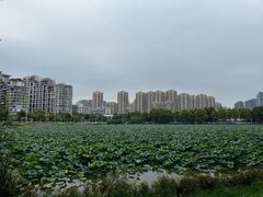 -东湖落雁景区
