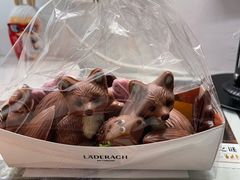 -Laderach 莱德拉(上海环贸iapm店)