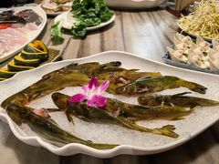 -香樟活鱼馆(渝北店)