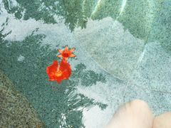 -西安华清御汤酒店