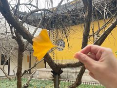 -西园戒幢律寺