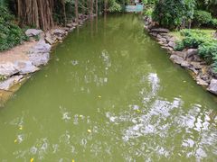 -珠海圆明新园