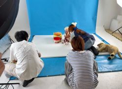 -可乐大王自然光儿童摄影(园区店)