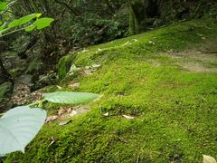 -白云源风景区