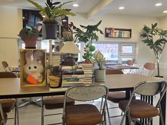 -阿九笨鸡蛋手擀面(总店)