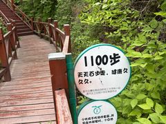 -大岭沟猕猴桃谷风景区