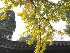 -无锡惠山寺