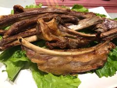 -巴依老爷新疆美食(清华东门店)