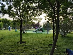 -爪吧宠物乐园 (温榆河示范区店)