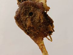 鸭下巴鸡翅鸡腿-肥喏喏小吃站(农院路店)