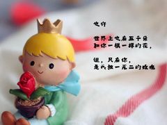 -EnergyCake蛋糕理想国