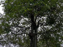 -福建鲤鱼洲酒店