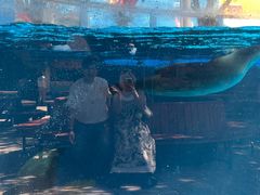 -海合安成都极地海洋公园