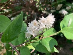 -洛阳市隋唐城遗址植物园